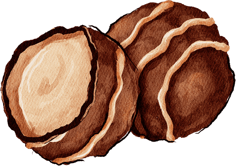 bakery-illustration-8 bakery illustration 8 1